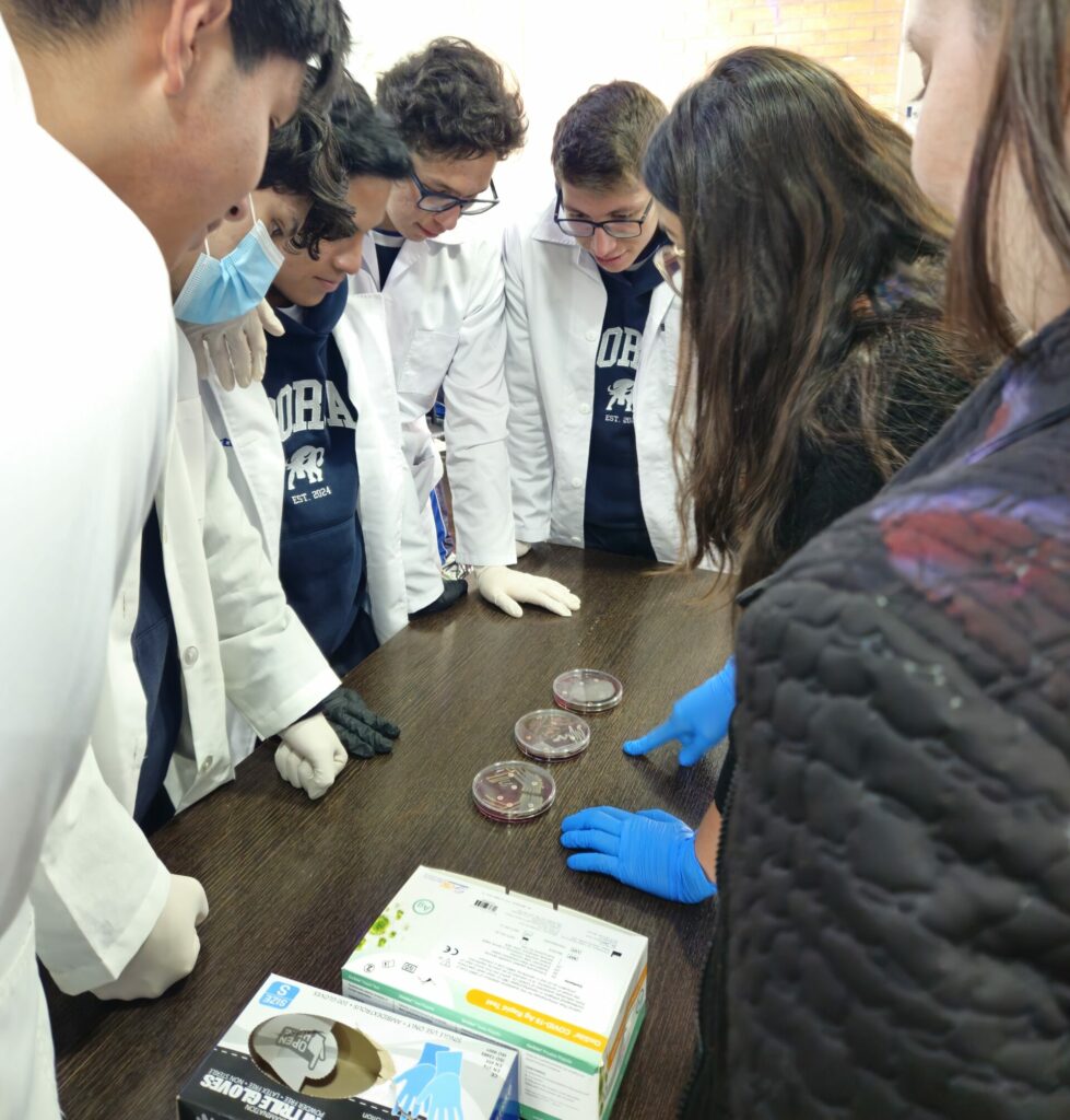 Demostración de muestras bacterianas controladas